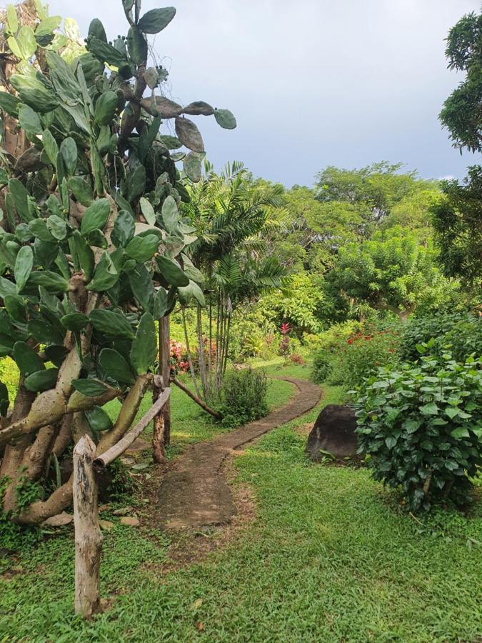 El Encanto Garden Hotel Santa Cruz Zewnętrze zdjęcie